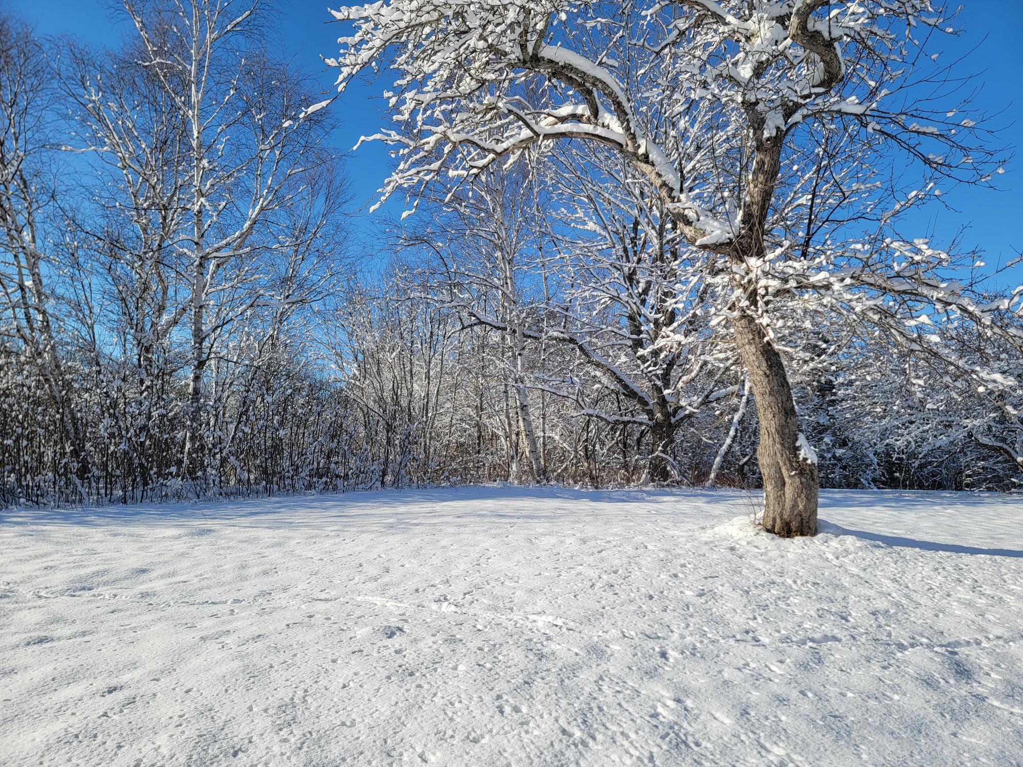 4-8 Macomber Mill Road Eastbrook ME 04634