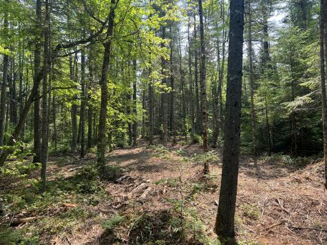 6 Taylor Woods Road Waltham ME 04605