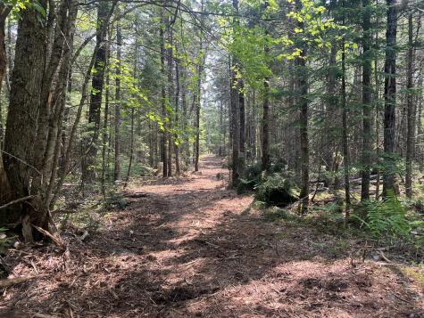 6 Taylor Woods Road Waltham ME 04605