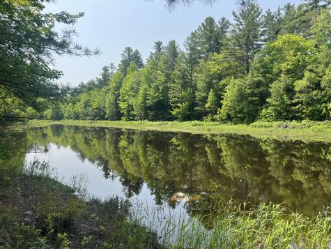 6 Taylor Woods Road Waltham ME 04605