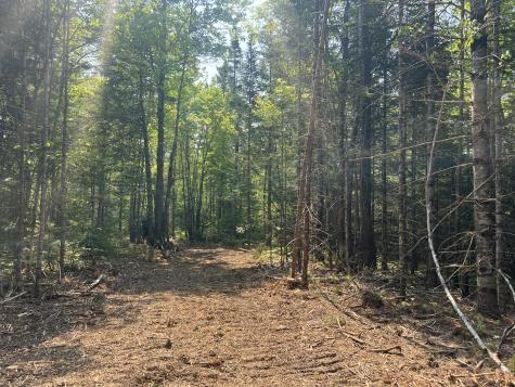 6 Taylor Woods Road Waltham ME 04605