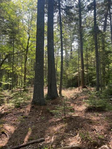 6 Taylor Woods Road Waltham ME 04605