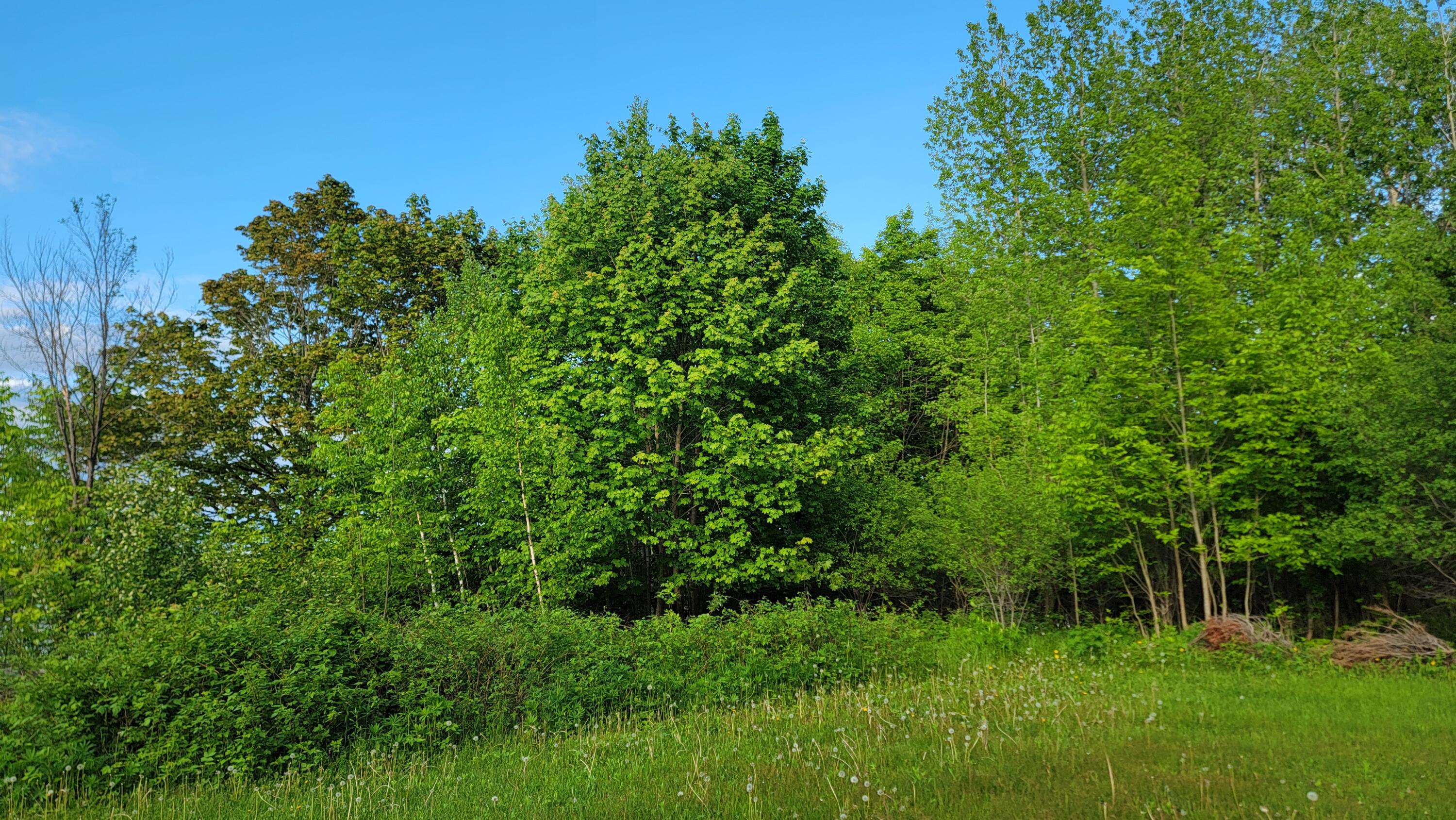 #26&27 Main Street Calais ME 04619