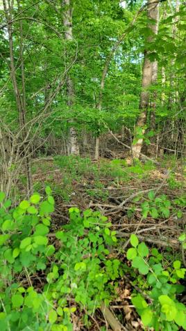 #26&27 Main Street Calais ME 04619