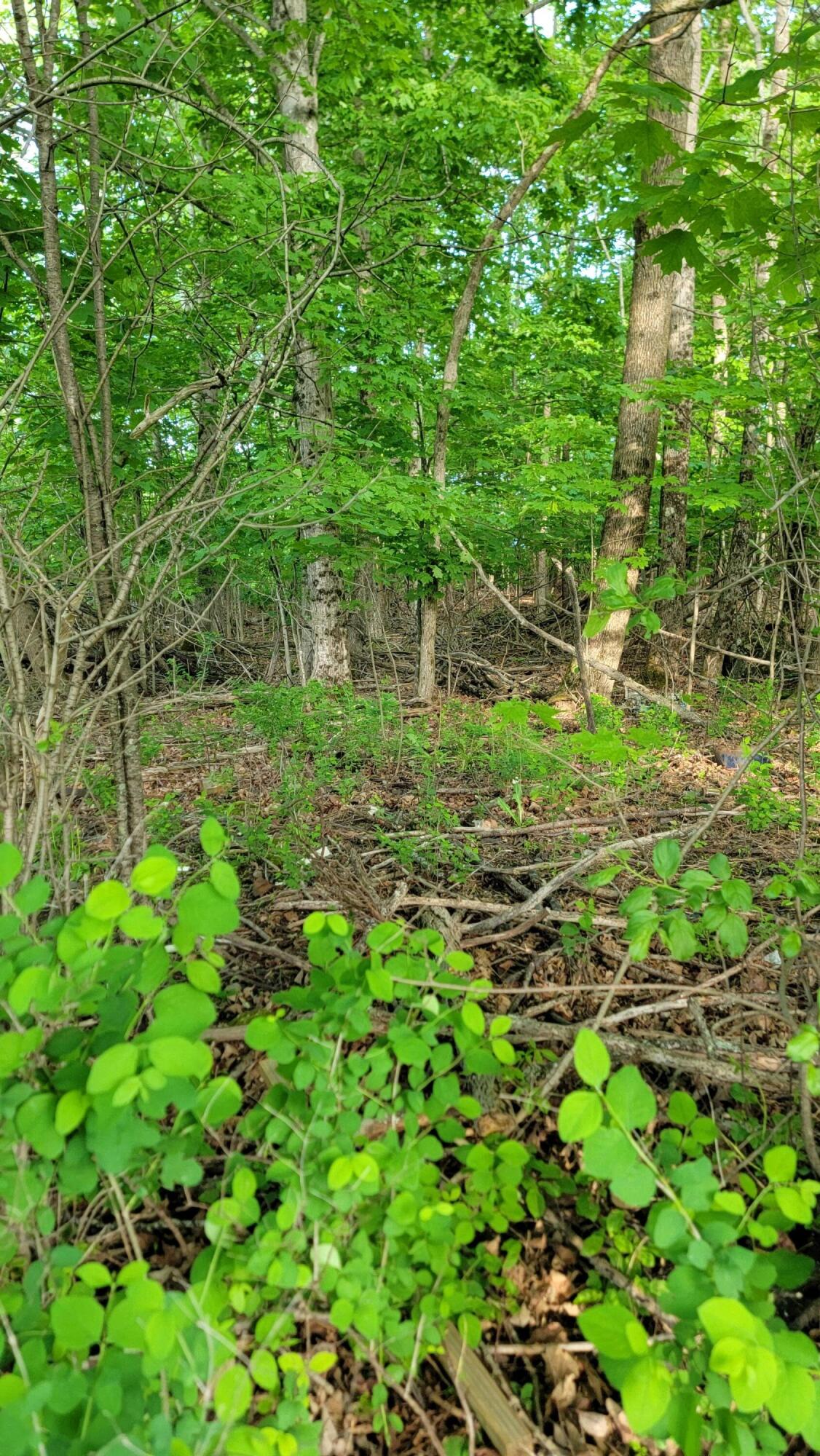 #26&27 Main Street Calais ME 04619