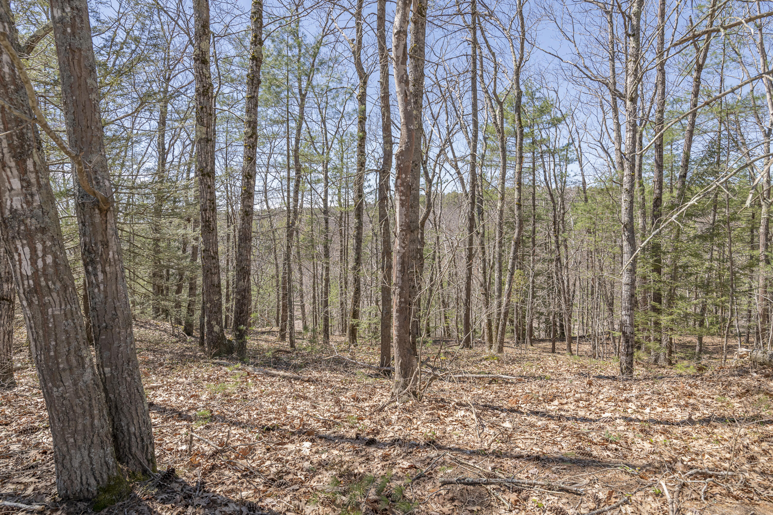 Lot 2 Ridge Road Bath ME 04530