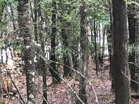 18 Bear Point Road Dover-foxcroft ME 04426