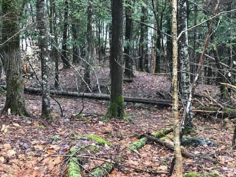 18 Bear Point Road Dover-foxcroft ME 04426
