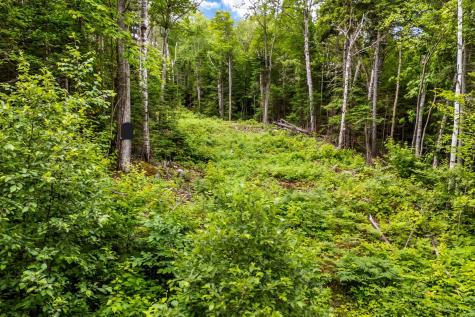 Lot 1 Shelton Trail Rangeley Plt ME 04970