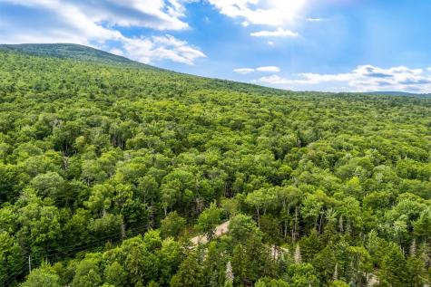 Lot 1 Shelton Trail Rangeley Plt ME 04970