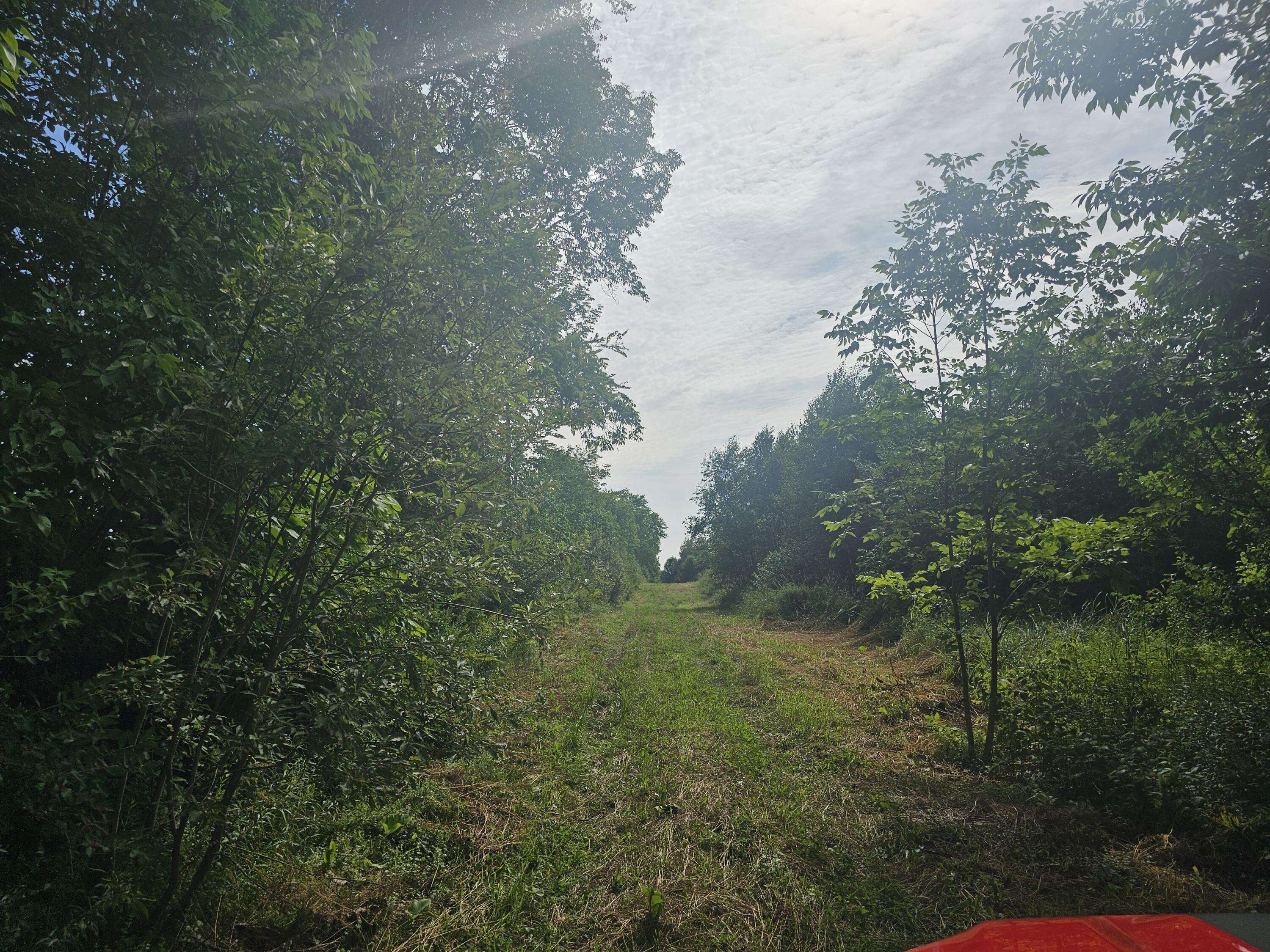 L3 M,r-1 Aroostook Scenic Highway Patten ME 04765