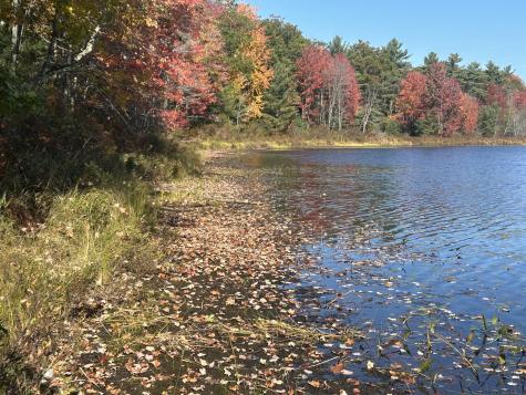 M 7 L 34 Campground Road Livermore Falls ME 04254