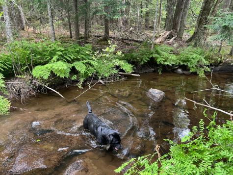 M9l20 Monroe Road Swanville ME 04915