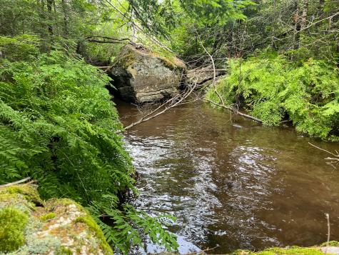 M9l20 Monroe Road Swanville ME 04915