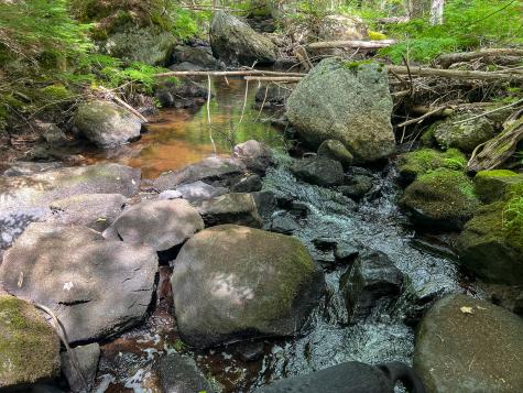 M9l20 Monroe Road Swanville ME 04915