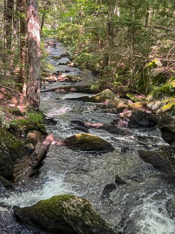 M9l20 Monroe Road Swanville ME 04915