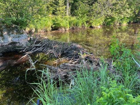 M9l20 Monroe Road Swanville ME 04915