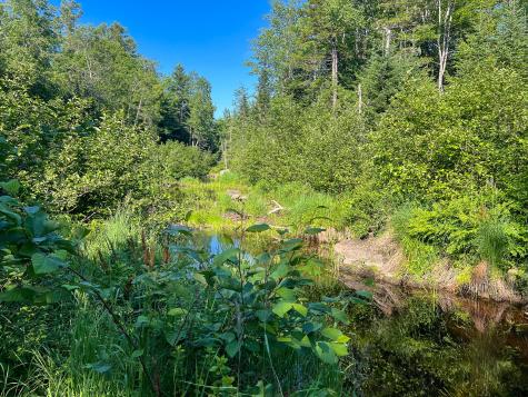 M9l20 Monroe Road Swanville ME 04915