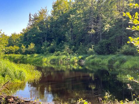 M9l20 Monroe Road Swanville ME 04915