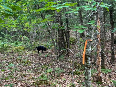 M9l20 Monroe Road Swanville ME 04915