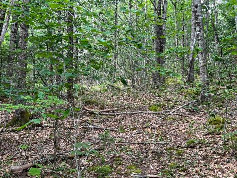 M9l20 Monroe Road Swanville ME 04915