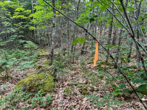 M9l20 Monroe Road Swanville ME 04915