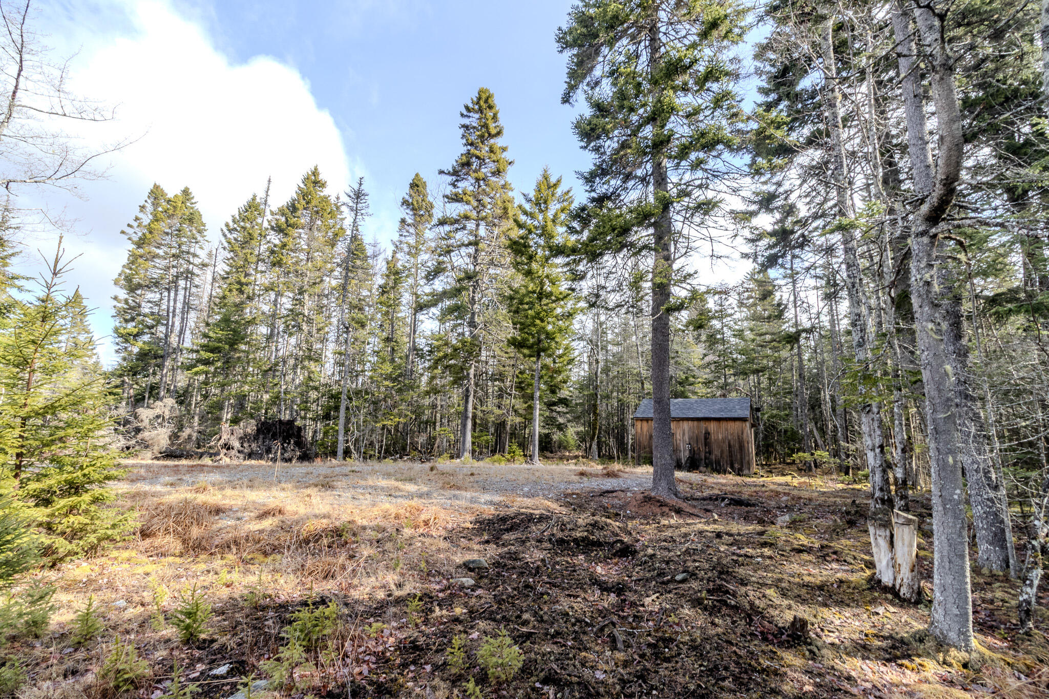57 Yoho Head Road Machiasport ME 04655