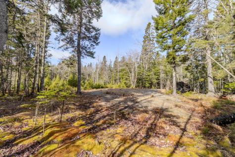 57 Yoho Head Road Machiasport ME 04655