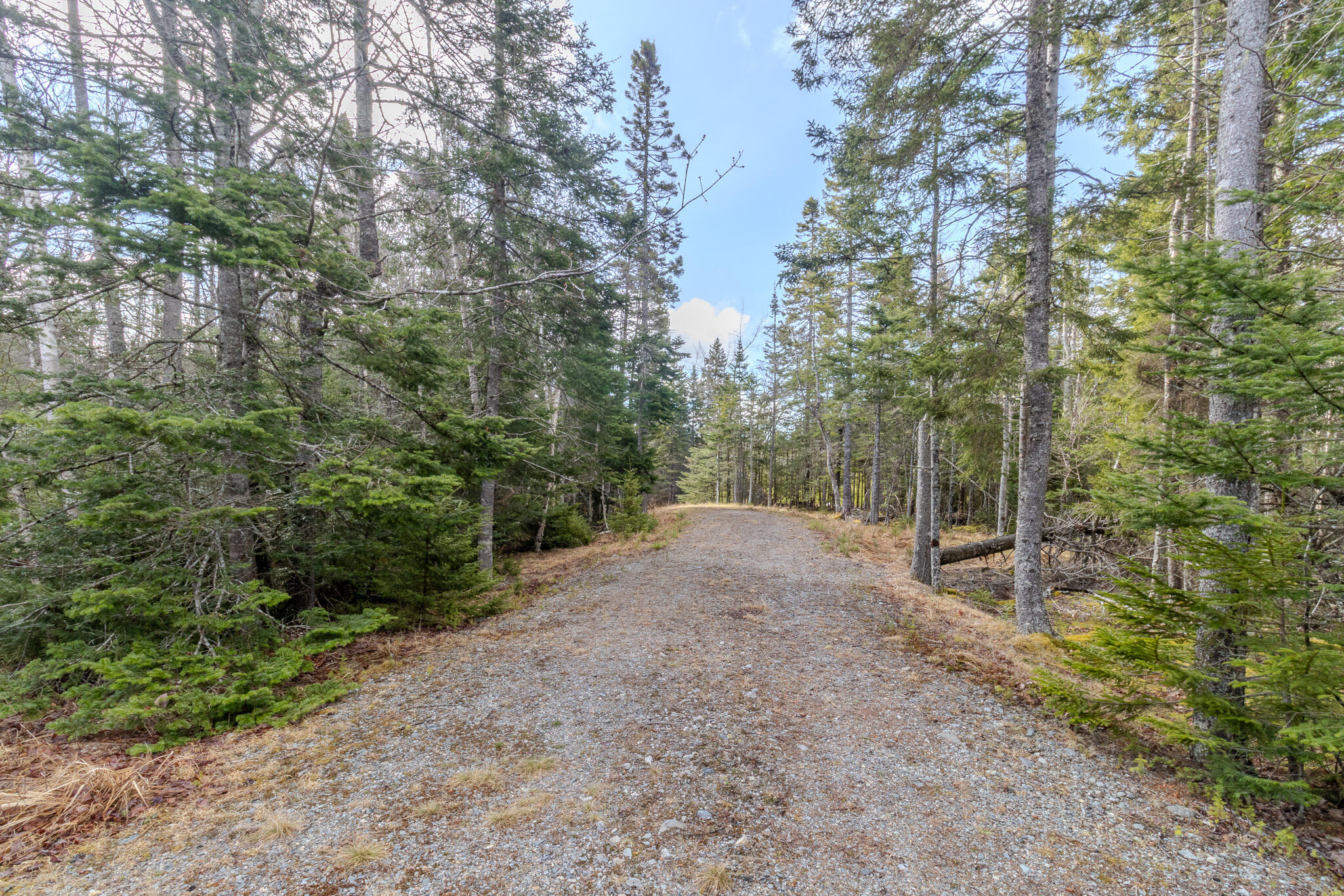 57 Yoho Head Road Machiasport ME 04655
