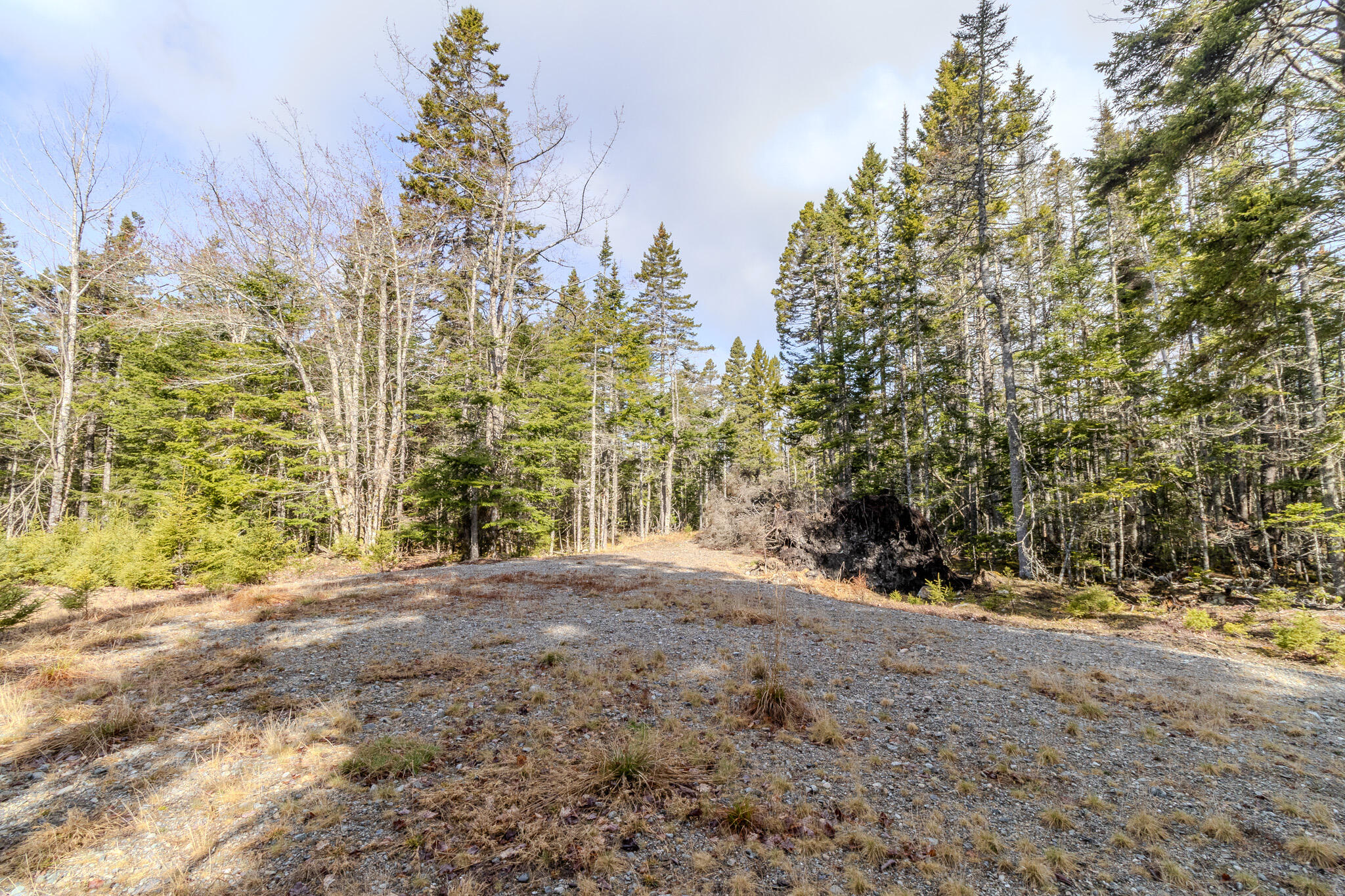 57 Yoho Head Road Machiasport ME 04655