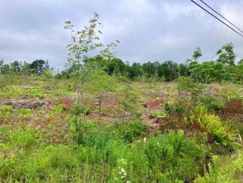 Lot 70 Vienna Road Chesterville ME 04938