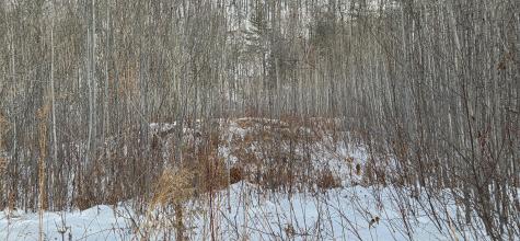 Lot #016 Isthmus Road Rumford ME 04276