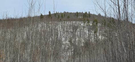 Lot #016 Isthmus Road Rumford ME 04276