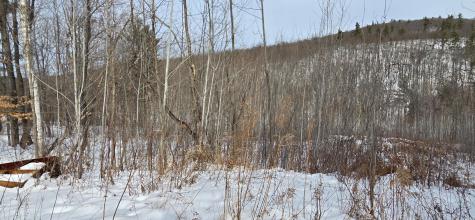 Lot #016 Isthmus Road Rumford ME 04276