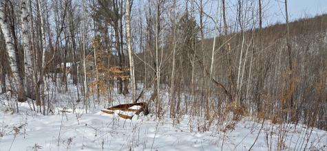 Lot #016 Isthmus Road Rumford ME 04276