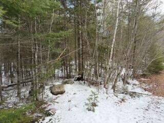 Lot 068002 Shore Road Bremen ME 04551