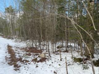 Lot 068002 Shore Road Bremen ME 04551