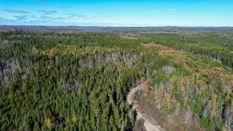 Lot 5 Holmes Bay Farm Whiting ME 04691