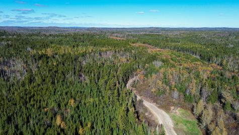 Lot 5 Holmes Bay Farm Whiting ME 04691