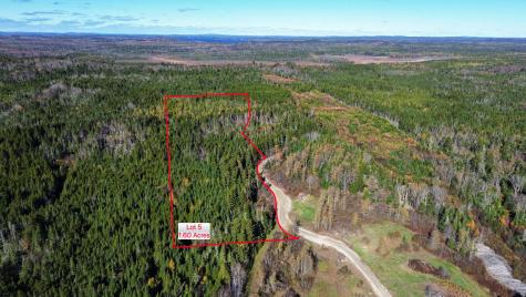 Lot 5 Holmes Bay Farm Whiting ME 04691