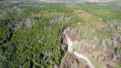 Lot 5 Holmes Bay Farm Whiting ME 04691