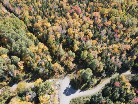 Lot 7 Mill Brook Road Sandy River Plt ME 04970