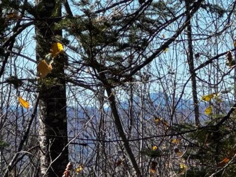 P/o M14 L80 Brighton Road Bingham ME 04920