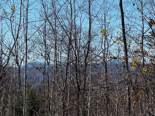 P/o M14 L80 Brighton Road Bingham ME 04920