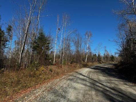 P/o M14 L80 Brighton Road Bingham ME 04920