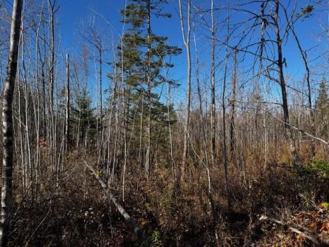 P/o M14 L80 Brighton Road Bingham ME 04920