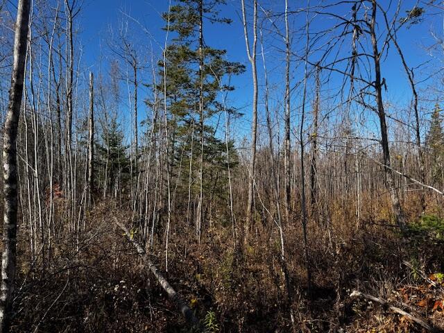 P/o M14 L80 Brighton Road Bingham ME 04920