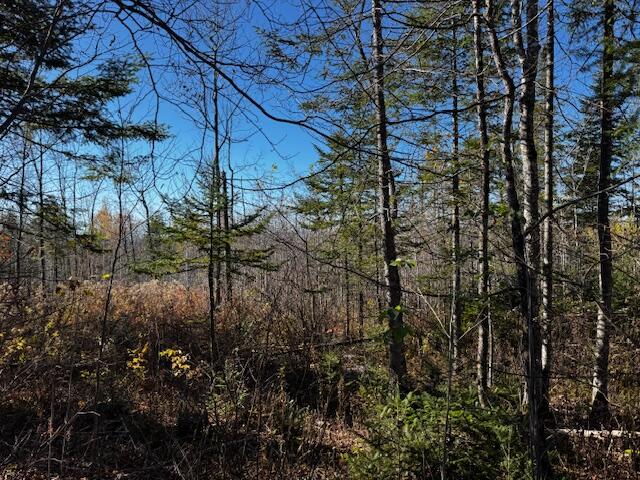 P/o M14 L80 Brighton Road Bingham ME 04920