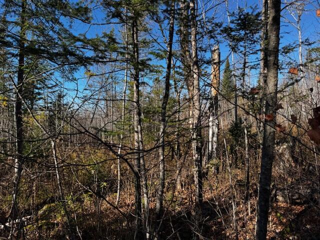 P/o M14 L80 Brighton Road Bingham ME 04920