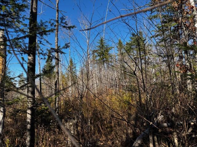 P/o M14 L80 Brighton Road Bingham ME 04920